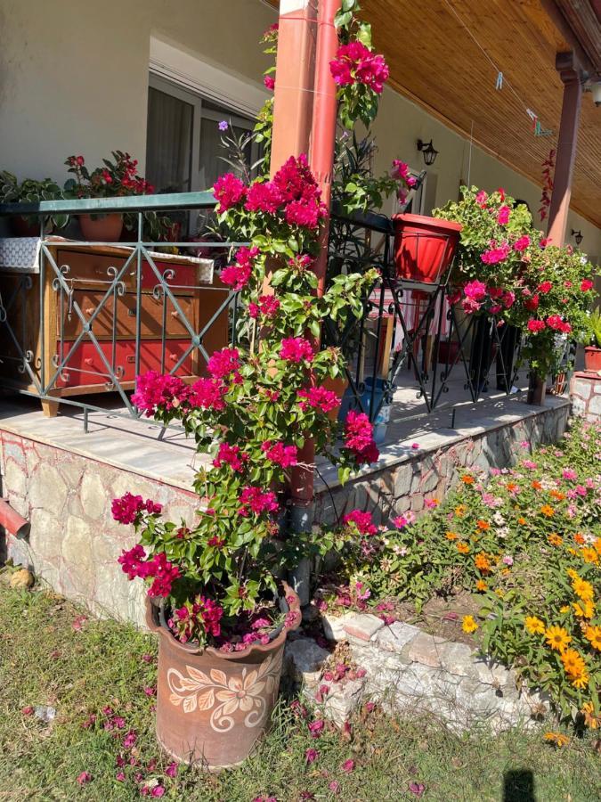 Agapi Hotel Orma Exterior photo